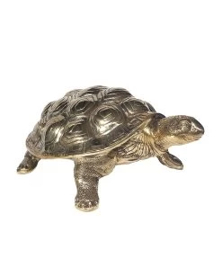 Doing Goods Cameron Schildpad Groot - 1.20.50.009.921.5