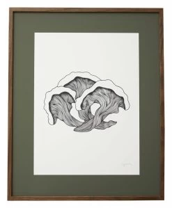 Nordal Fungi Illustration - Donker Eiken