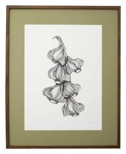 Nordal Garlic Illustration - Donker Eiken