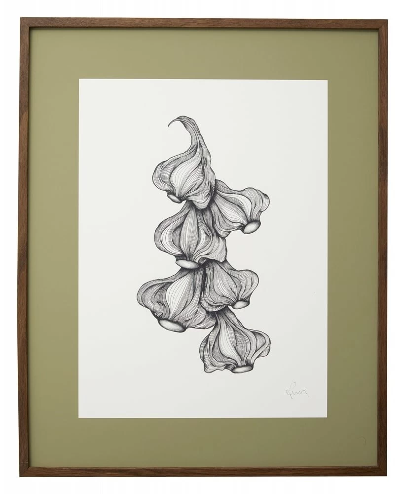 Nordal Garlic Illustration - Donker Eiken 3 Nordal Garlic Illustration - Donker Eiken