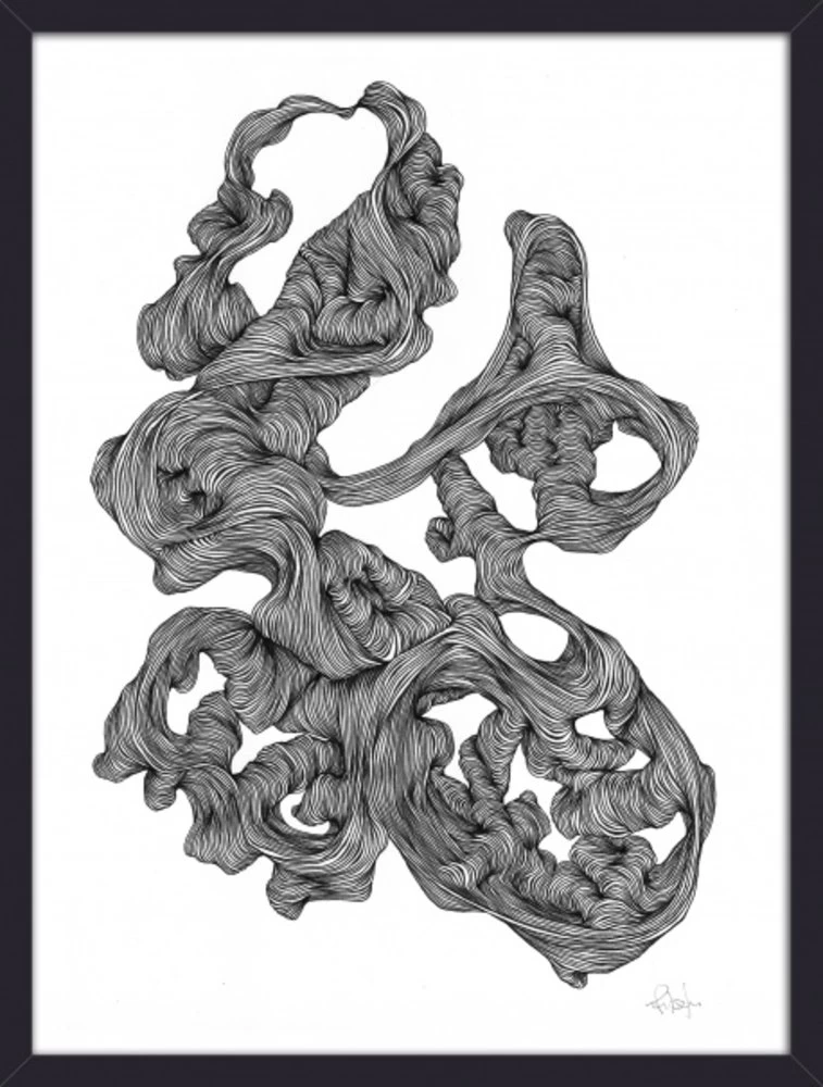 Nordal Rocaille Illustration - Zwart/wit 3 Nordal Rocaille Illustration - Zwart/wit