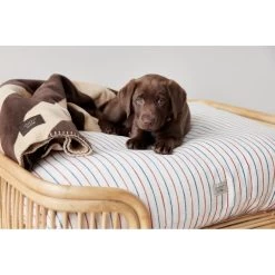 OYOY Kyoto Hondenkussen Large Mellow - Z60060 16 OYOY Kyoto Hondenkussen Large Mellow - Z60060 -Klassieke Verlichtingswinkel oyoy kyoto hondenkussen large mellow z60060 4